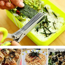 Multifunction Vegetable Stainless Steel Herbs Scissor with 5 Blades (1 Pc) - justgrabit.in | Just Grab It