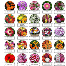 Seeds 20 Varieties of Flower Seeds Combo (1 Pkt / 20 Varieties) - justgrabit.in | Just Grab It