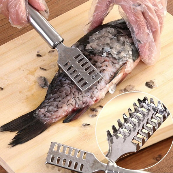 Stainless Steel Fish Scale Remover Scraper – Sawtooth Kitchen Tool - Justgrabit Inc.