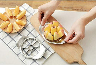 Stainless Steel Apple Cutter / Slicer with 8 Blades and Handle - justgrabit.in | Just Grab It