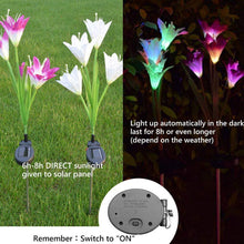 Waterproof Outdoor Solar Lily Flower Stake Lights ( Pack Of 2 pcs ) - justgrabit.in | Just Grab It
