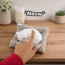 Soft Plush Cute Cat Car Dashboard Showpiece Toy (1 Pc) - justgrabit.in | Just Grab It