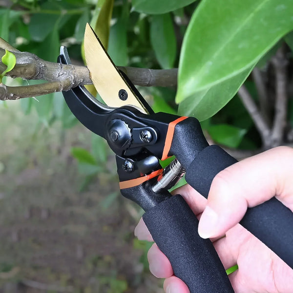 Heavy Duty Garden Pruning Shears (1 Pc) - Justgrabit Inc.