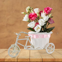 Plastic Cycle Flower Vases For Home Decor; Bicycle Flower Pot Stand (1 Pc) - Justgrabit Inc.