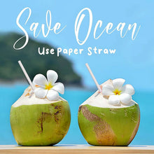 Paper Straw – Plain 6 mm Diameter, 200 mm Length, 50 Pcs Pack - justgrabit.in | Just Grab It