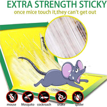 PCI Cardboard Troublegum Small Size Mouse Trap - 1pc - justgrabit.in | Just Grab It