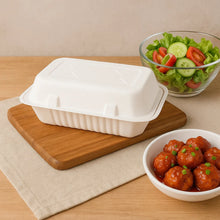 FresheeClamshell Takeaway Compostable Bagasse Food Box 9x6x3 Inch – 10 Pcs Pack - justgrabit.in | Just Grab It