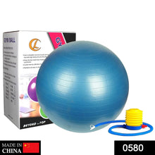 Anti - Burst Gym Ball with Pump (75 cm) - Justgrabit Inc.