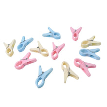 Plastic Cloth Clips (Multicolour) - Pack of 12 - Justgrabit Inc.