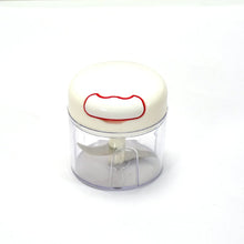 Mini Food Chopper Small For Kitchen Use - Justgrabit Inc.