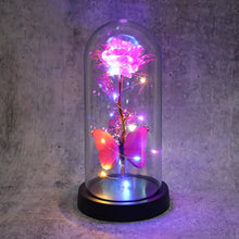 LED Decorative Rose with Butterfly in Transparent Plastic Dome (1 Pc / Battery Not Included) - Justgrabit Inc.