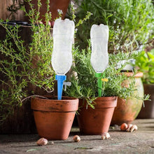 Adjustable Plant Watering Spikes with Slow Release Valve - justgrabit.in | Just Grab It