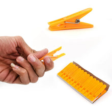 12 Pc Set Cloth Clip used in all kinds of household and official places for holding cloths and stuffs purposes. - Justgrabit Inc.