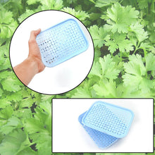 1 Pc Kothmir Basket widely used in all types of household places for holding and storing various kinds of fruits and vegetables etc. - Justgrabit Inc.
