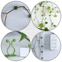 Plant Climbing Wall Fixture Clip Self - Adhesive Hook (40 Pcs Set / With plastic box) - justgrabit.in | Just Grab It