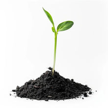 Organic Vermicompost Black Soil for Plants Health Manure (1 KG Approx) - justgrabit.in | Just Grab It