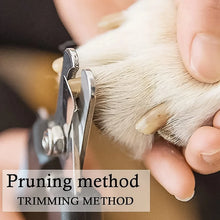 Pet Nail Clipper and Nail File Grooming Kit for Dogs and Cats (Mix Color / 2 Pc) - justgrabit.in | Just Grab It