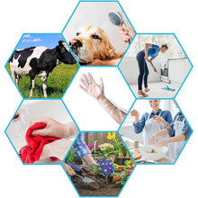 Disposable Plastic Gloves For Kitchen Food Handling (1 Pair) - Justgrabit Inc.