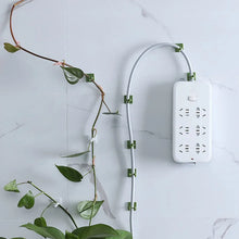 Plant Climbing Wall Fixture Clip Self - Adhesive Hook (Approx 200 Pcs Set) - justgrabit.in | Just Grab It