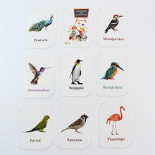 KidKraft Early Learner Educational Flashcards – 32 Birds - Justgrabit Inc.