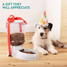Automatic Pet Food Dispenser Self - Dispensing Pet Feeder Food Dispenser - Justgrabit Inc.