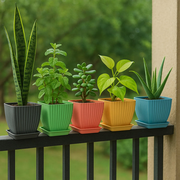 Trendy Square Plastic Flower Pots Set of 5 - justgrabit.in | Just Grab It