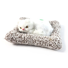 Soft Plush Cute Cat Car Dashboard Showpiece Toy (1 Pc) - justgrabit.in | Just Grab It