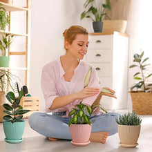 Round Flower Pot with Bottom Tray (5 Pcs Set / Small / 14×16 Cm) - justgrabit.in | Just Grab It