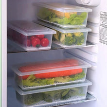 Vegetables & Fruits Freezer Storage Container (PACK OF 6PC 1500ML) - justgrabit.in | Just Grab It