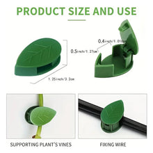Plant Climbing Wall Clip, Self - Adhesive Vines Support Hooks for Indoor Outdoor Use (10 Pcs Set) - Justgrabit Inc.