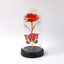 Elegant LED Eternal Rose in Plastic Dome (1 Pc / Battery Not included) - Justgrabit Inc.