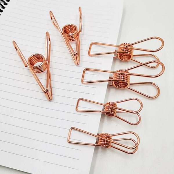 Stainless Steel Multipurpose Sturdy Clothes Hanging Clips - Justgrabit Inc.