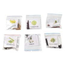 20 Varieties of Vegetable & Flower Seeds Combo (1 Pkt. / 20 Varieties) - Justgrabit Inc.