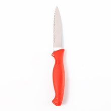 Stainless Steel Serrated Kitchen Knife (1 Pc) - justgrabit.in | Just Grab It