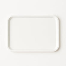 Plastic Serving Tray / Plate – 40 × 30 cm (1 Pc) - justgrabit.in | Just Grab It