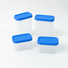 Apex Glory Plastic Storage Container Box Set (4 Pc) - Justgrabit Inc.