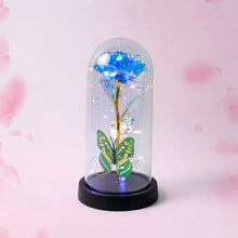 LED - Powered Eternal Rose in plastic Dome (1 Pc / Battery not Included) - Justgrabit Inc.