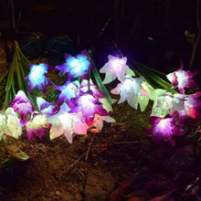 Waterproof Outdoor Solar Lily Flower Stake Lights ( Pack Of 2 pcs ) - justgrabit.in | Just Grab It