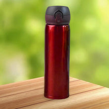 Double Walled Vacuum Insulated Water Bottle | (450 ml Approx / Mix Design / 1 Pc) - Justgrabit Inc.