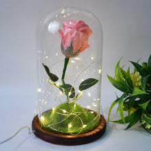 Glass Flower with Led Light Great Gift (1 Set) - justgrabit.in | Just Grab It