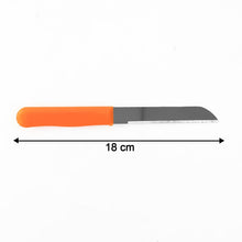 Premium Quality Stainless Steel Handle Plain Knife, Chhari (1 Pc) - justgrabit.in | Just Grab It