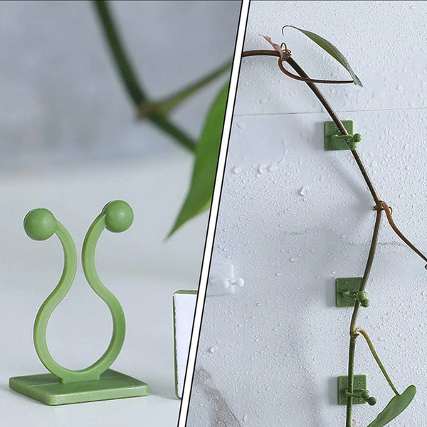 Plant Climbing Wall Fixture Clip Self - Adhesive Hook (Approx 200 Pcs Set) - justgrabit.in | Just Grab It