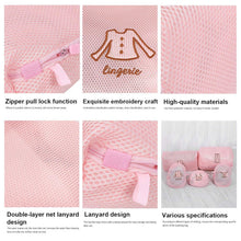 Premium Lingerie/Bra Laundry Wash Bag - (1 Pc) - justgrabit.in | Just Grab It