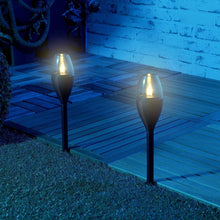 Solar - Powered Outdoor Pathway Garden Light (1 Pc) - Justgrabit Inc.
