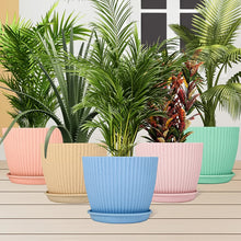 Plastic Flower Pot with Bottom Tray (5 Pcs Set) - justgrabit.in | Just Grab It