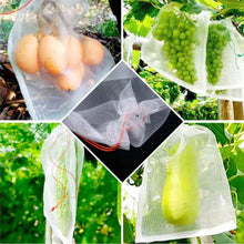 Protective Garden Barrier Cover for Bag, Plants, Grapes, Figs, Flowers, and Vegetables - Justgrabit Inc.