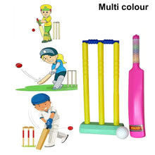Plastic Cricket Bat Ball Set for Boys and Girls - Justgrabit Inc.
