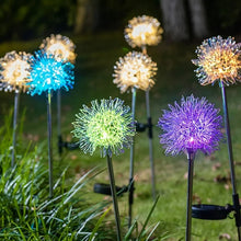 Solar Powered Dandelion Garden Lights (2 Pc) - justgrabit.in | Just Grab It