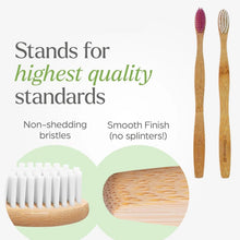 Premium Wall Mounted Toothbrush Holder Set (1 Set) - justgrabit.in | Just Grab It