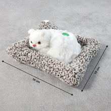 Soft Plush Cute Cat Car Dashboard Showpiece Toy (1 Pc) - justgrabit.in | Just Grab It